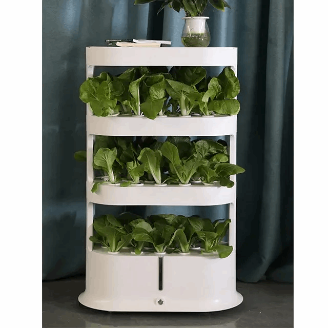 3 Layers 48 Pots Smart Hydroponic System for indoor gardening with remote control functionality.