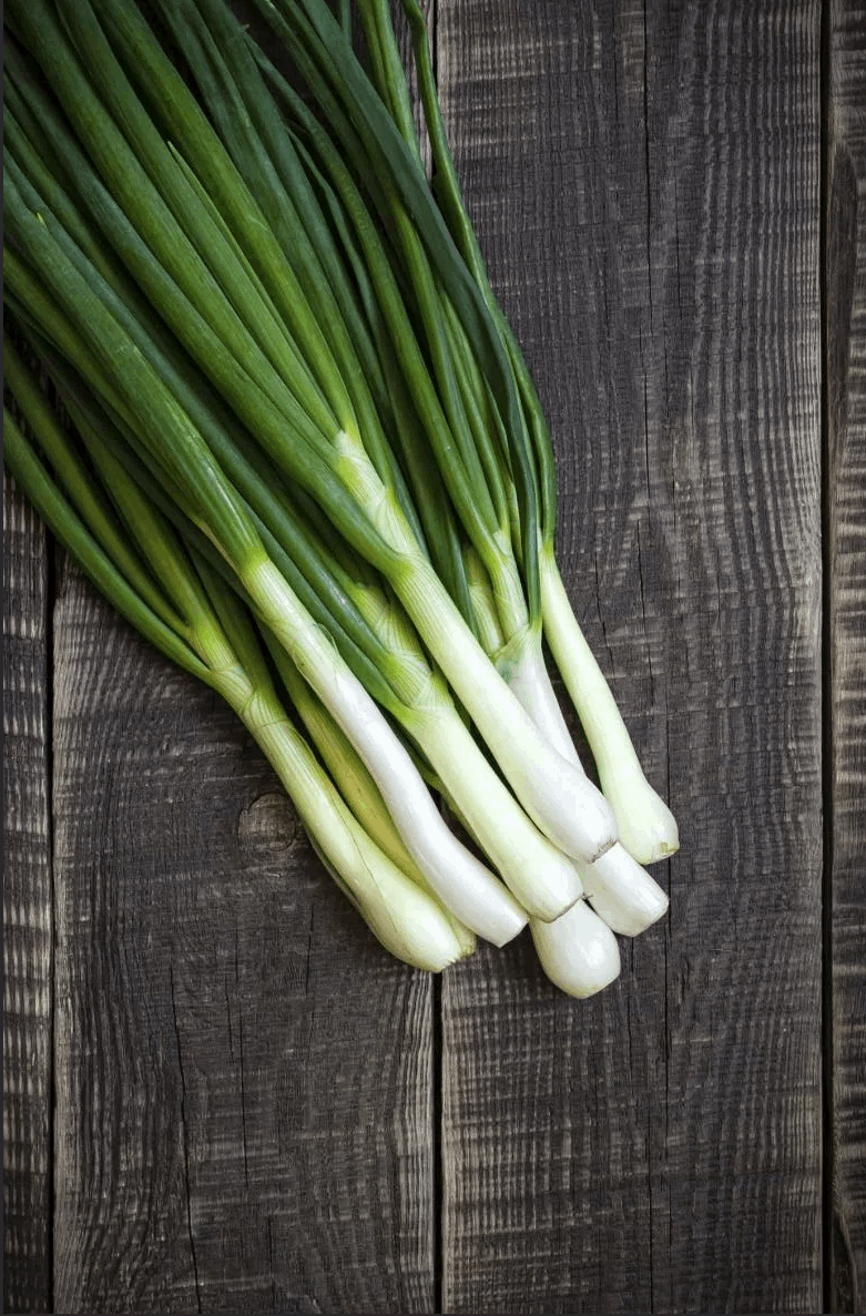 Welsh Onion 'Bajkal'