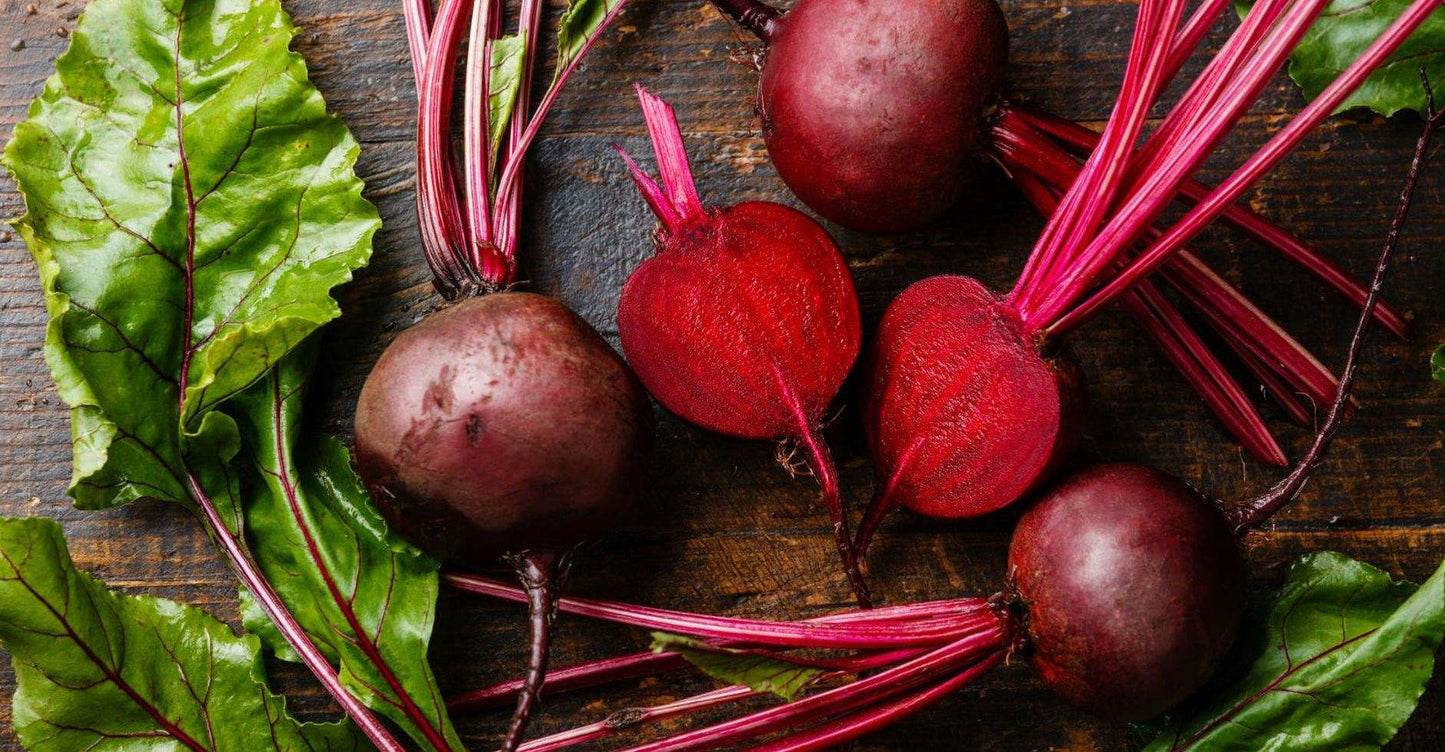 Beetroot - Cylindrica - 'Kahira' - Beta vulgaris