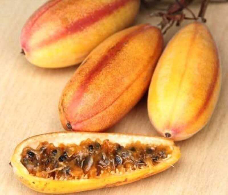Banana Passionfruit - Passiflora mollissima