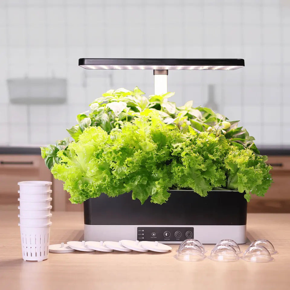 6 Pots Smart Desktop Hydroponic System with LED grow light for indoor gardening.