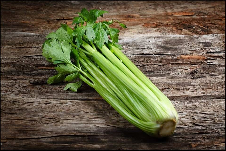 Elne Celery