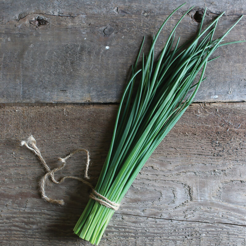 Fine Leaved Chives