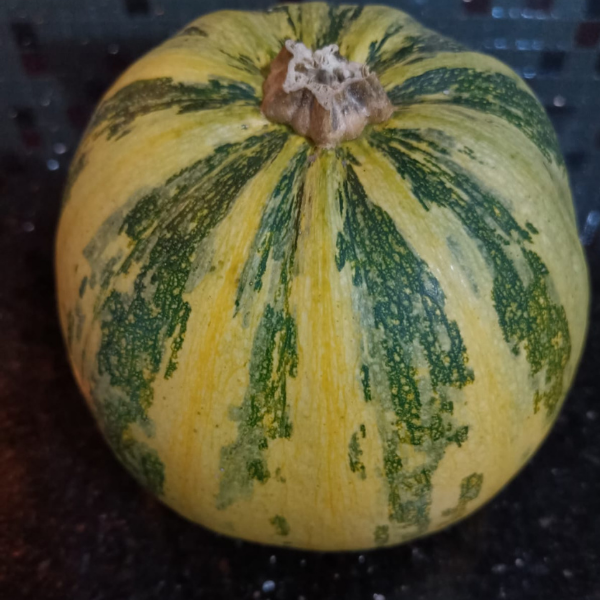 Styrian Hulless Pumpkin