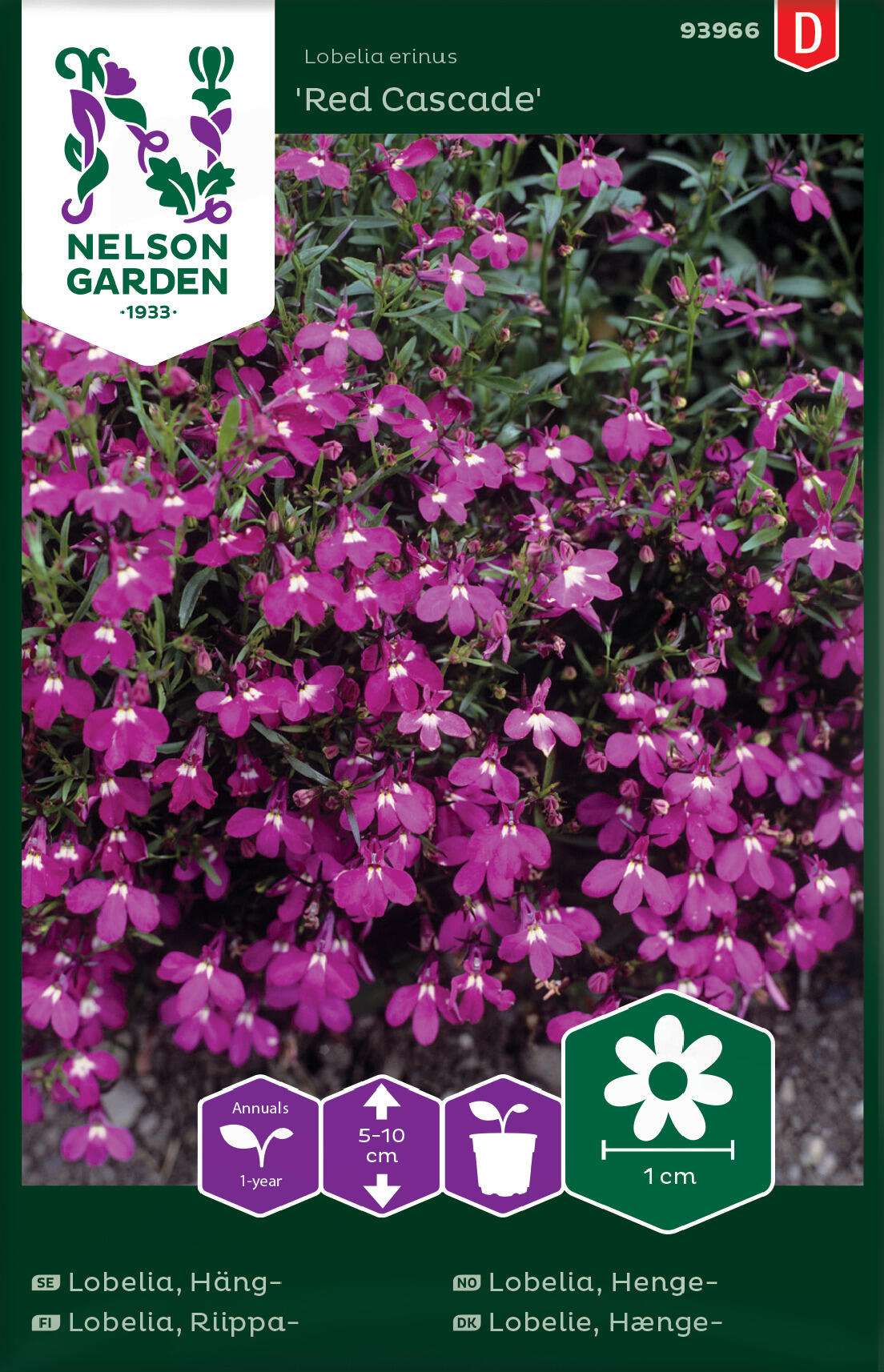 Red Cascade Lobelia flowers in bloom, ideal for hanging baskets and garden borders.
