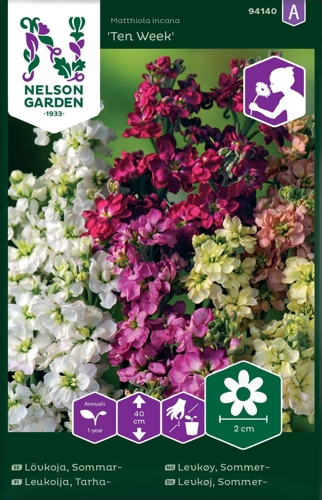 Ten Week - Matthiola Incana