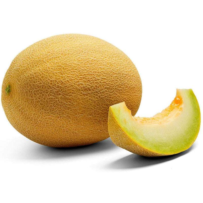 Sweet Melon 'Ananas'