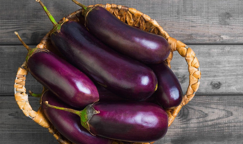 Half Long Purple Aubergine
