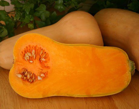 Winter Squash F1