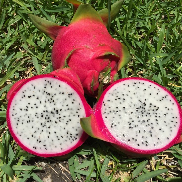 Natural White Dragon Fruit (Pitaya)
