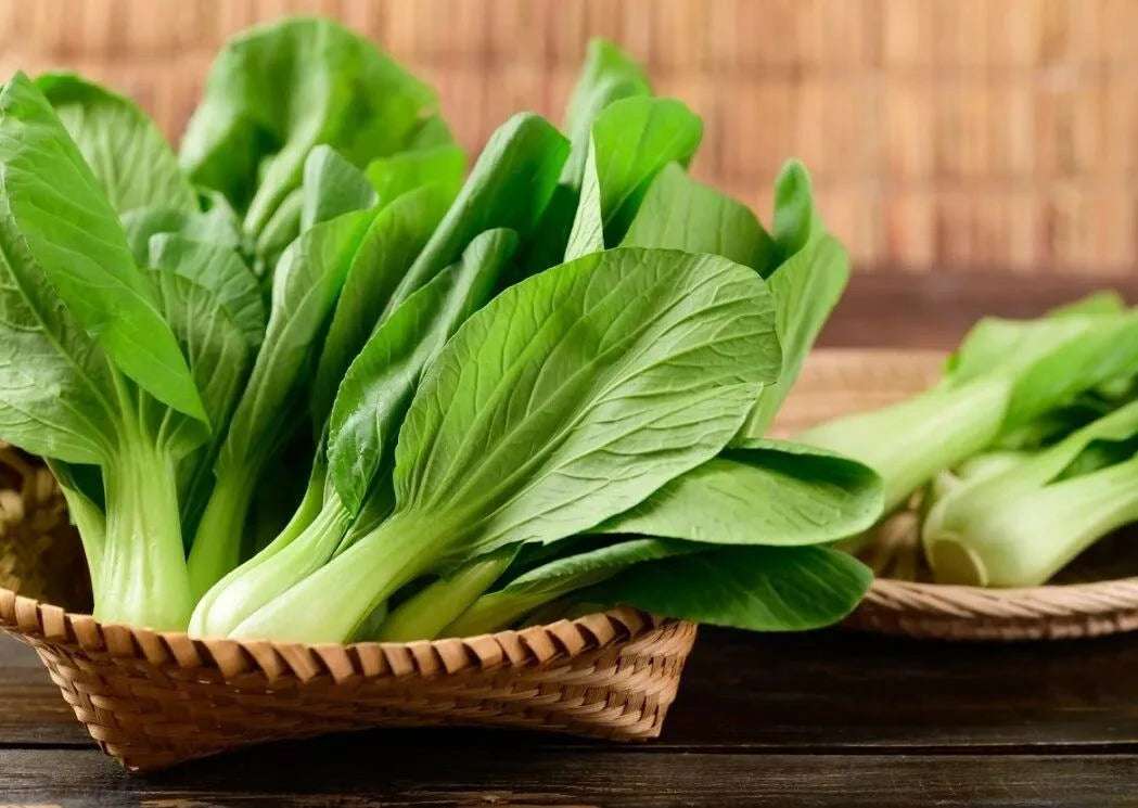 Chinese cabbage 'Pak choi'