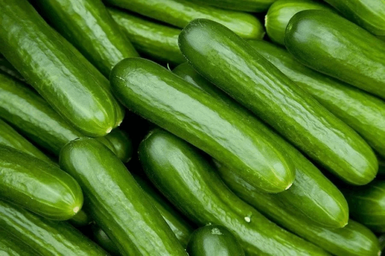 Cucumber 'Beth Alpha'