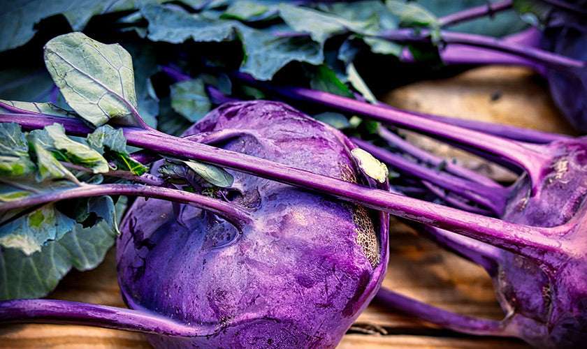 Kohlrabi Purple Leaves