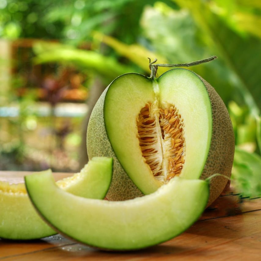 Melon 'Honeydew'