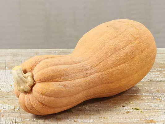 Kürbis