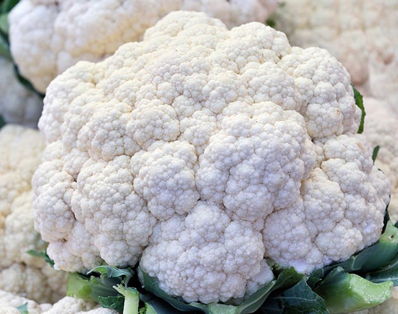 Snowball Cauliflower