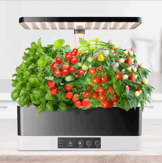 11 Pots Smart Hydroponic System with LED grow light for indoor gardening of herbs, vegetables, and flowers.