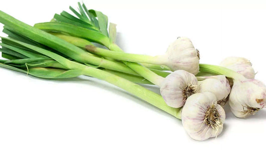 Garlic Chives