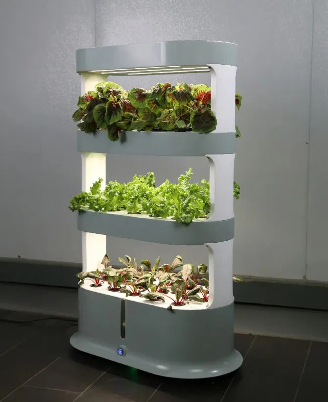 3 Layers 48 Pots Smart Hydroponic System