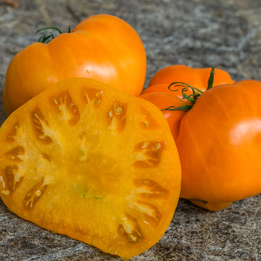 Yellow Oxheart Tomato