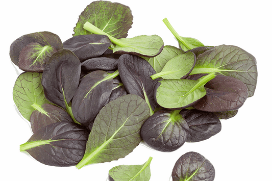 Komatsuna Red Spinach