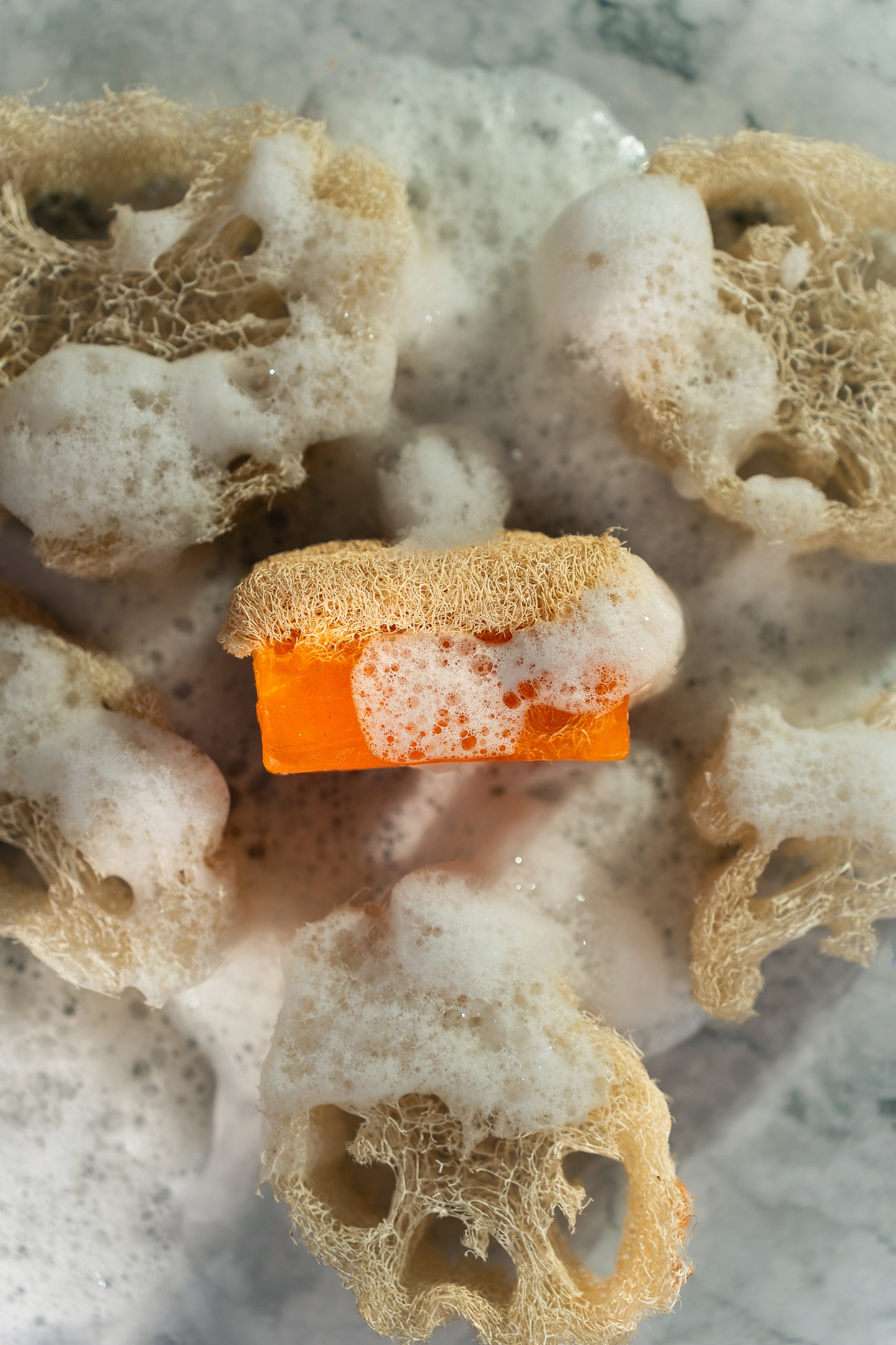 Kojic Acid Loofah Soap