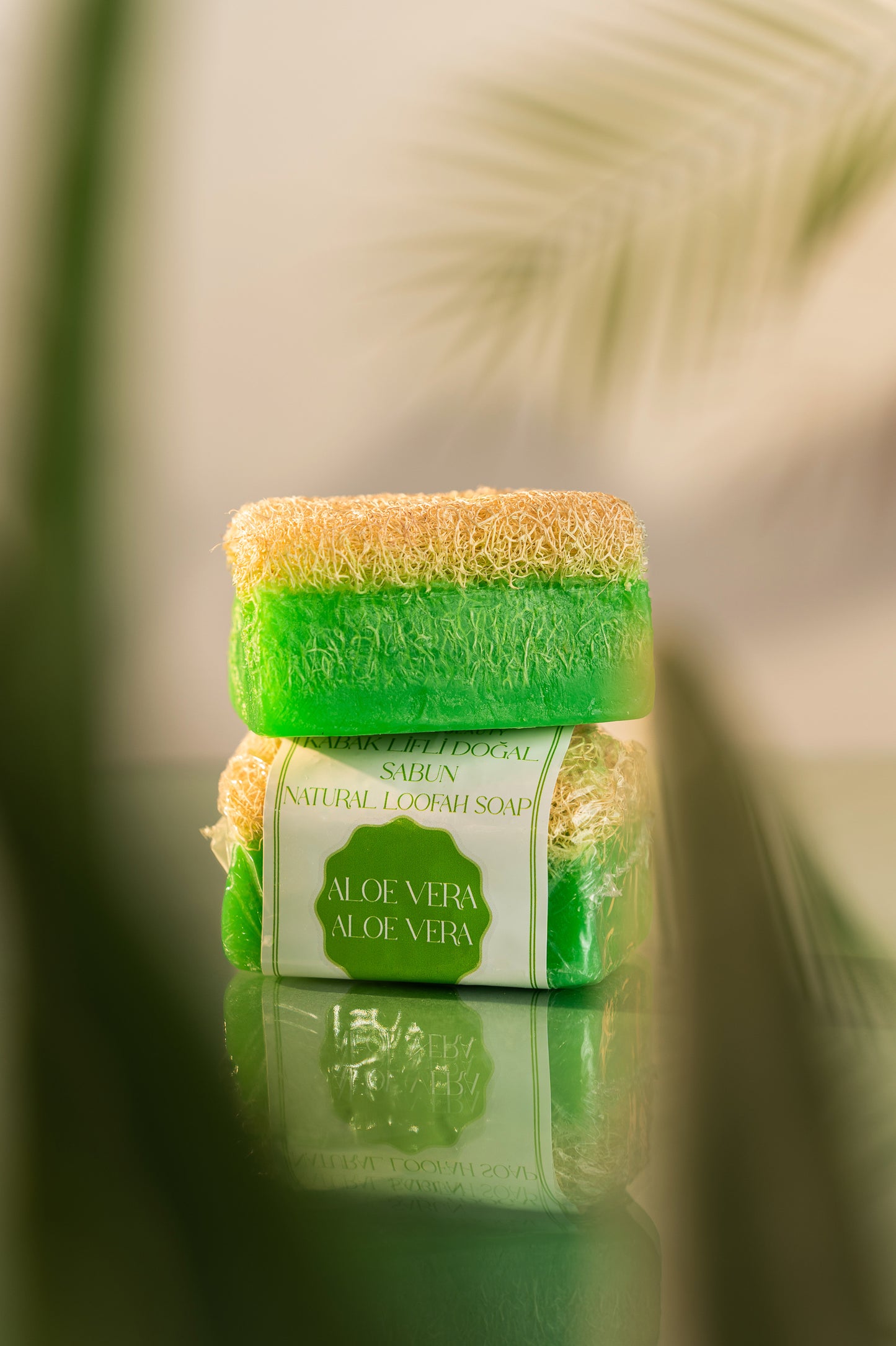 Aloe Vera Loofah Soap