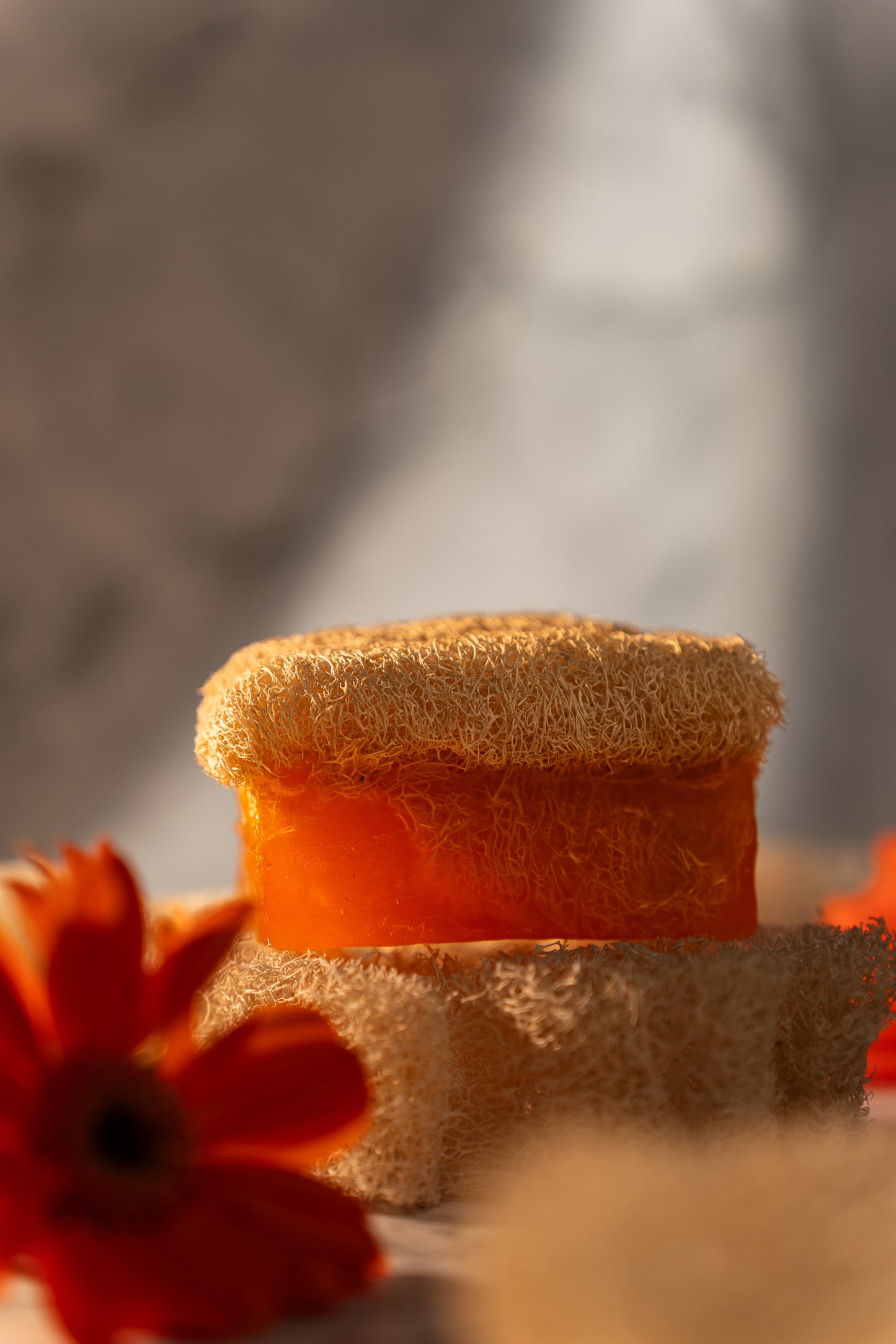 Kojic Acid Loofah Soap