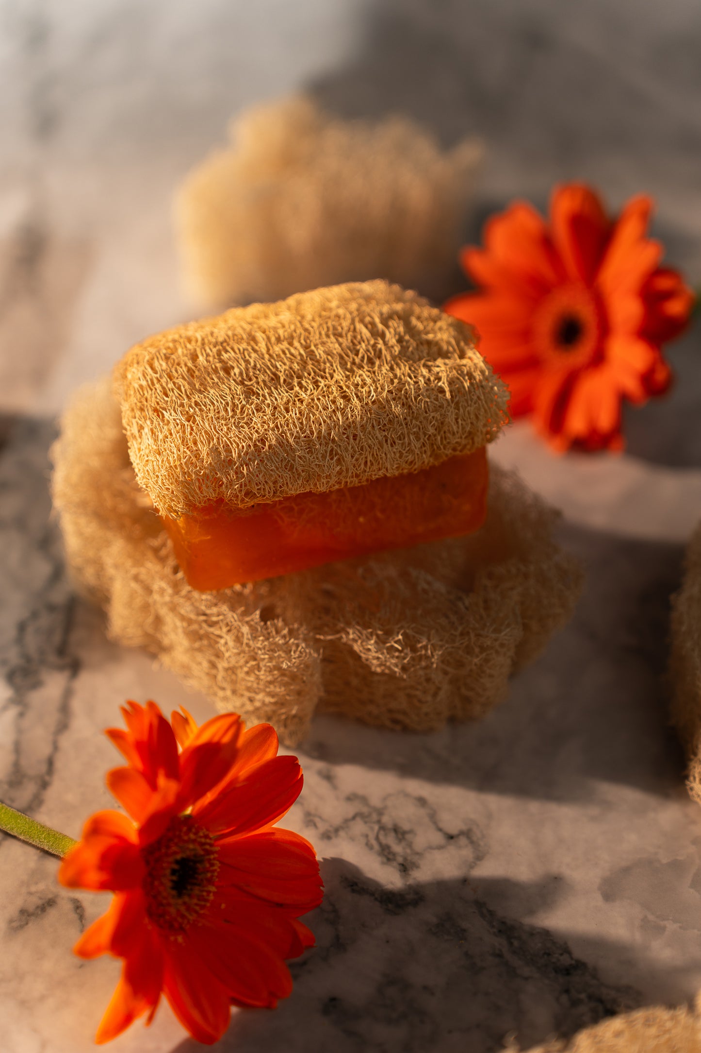 Kojic Acid Loofah Soap