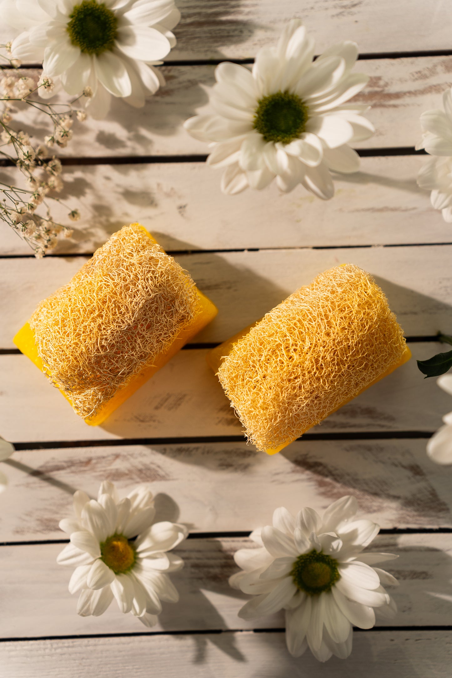 Chamomile Loofah Soap