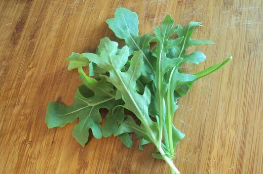 Baby Leaf Arugula - Wild Wall Rocket