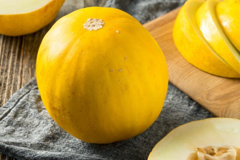 Canary Yellow Melon