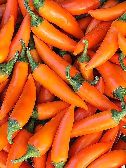 Bulgarian Carrot Pepper