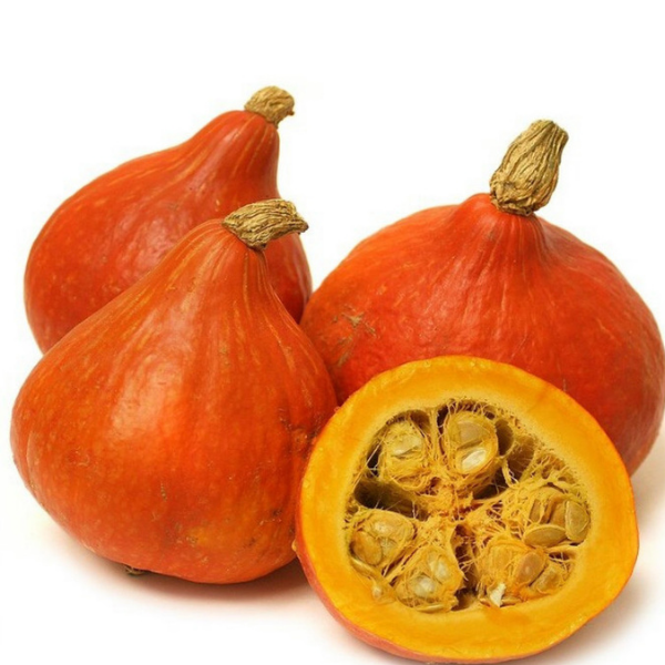 Hokkaido Pumpkin