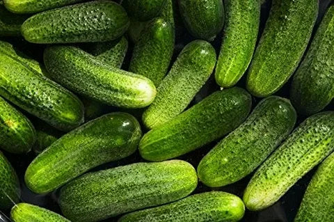 Cucumber Gherkin F1 Santana