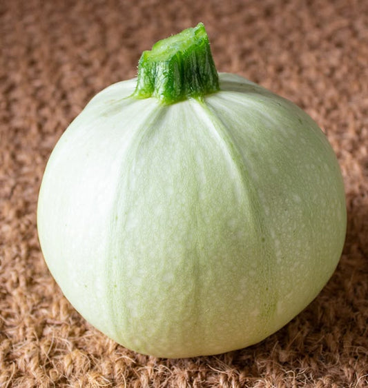 Cue Ball Squash