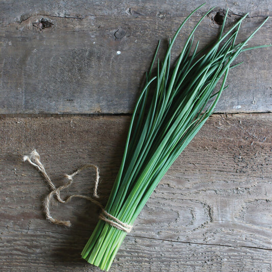Fine Leaved Chives