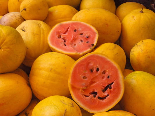 Golden Midget Watermelon
