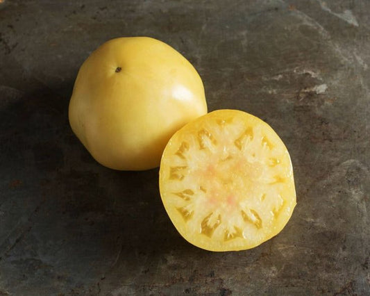 Great White Tomato