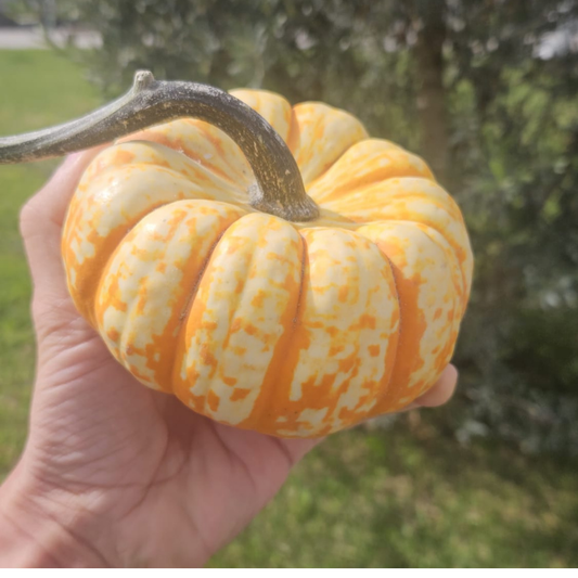 Hooligan F1 Pumpkin