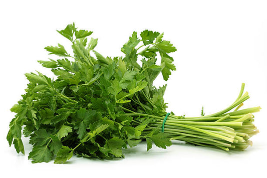 Italian Parsley