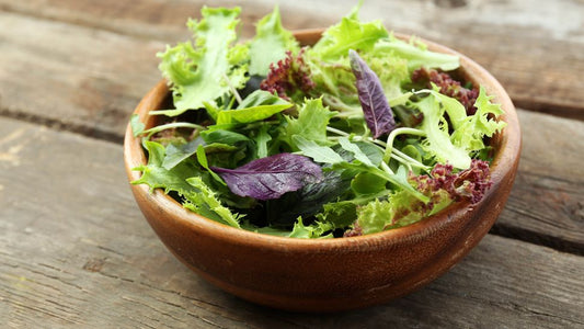 Gemischter Blattsalat