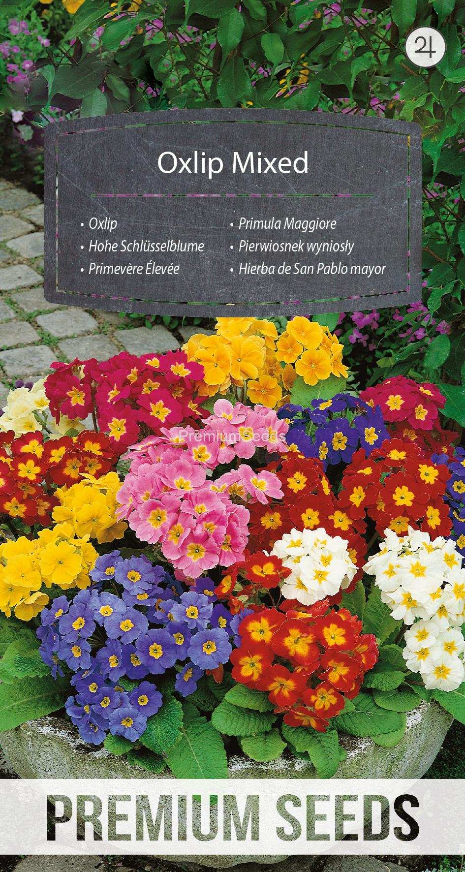 Oxlip Mixed premium flower seeds featuring vibrant colors ideal for woodland gardens.