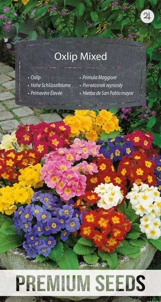 Oxlip Mixed premium flower seeds featuring vibrant colors ideal for woodland gardens.