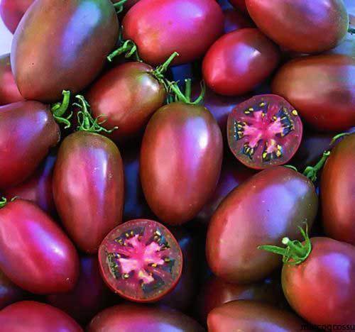 Purple Russian Tomato