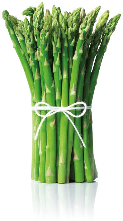 Asparagus - Mary Washington