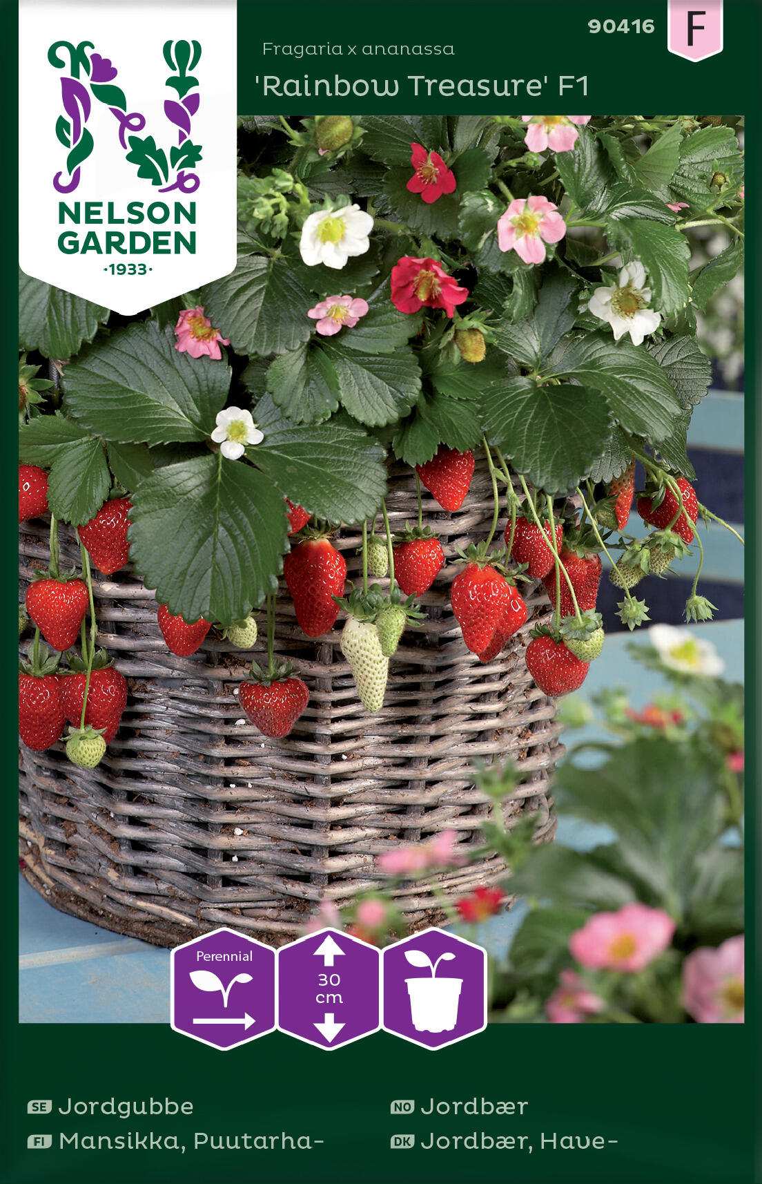 Strawberry - Rainbow Treasure