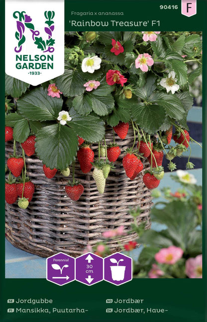 Strawberry - Rainbow Treasure