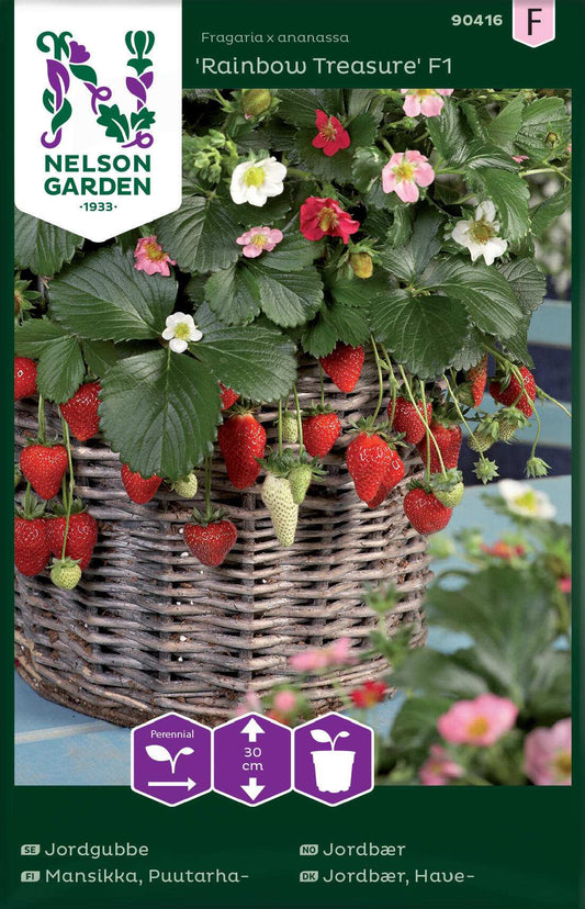 Strawberry - Rainbow Treasure