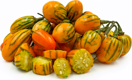 باذنجان تاغو المخطط